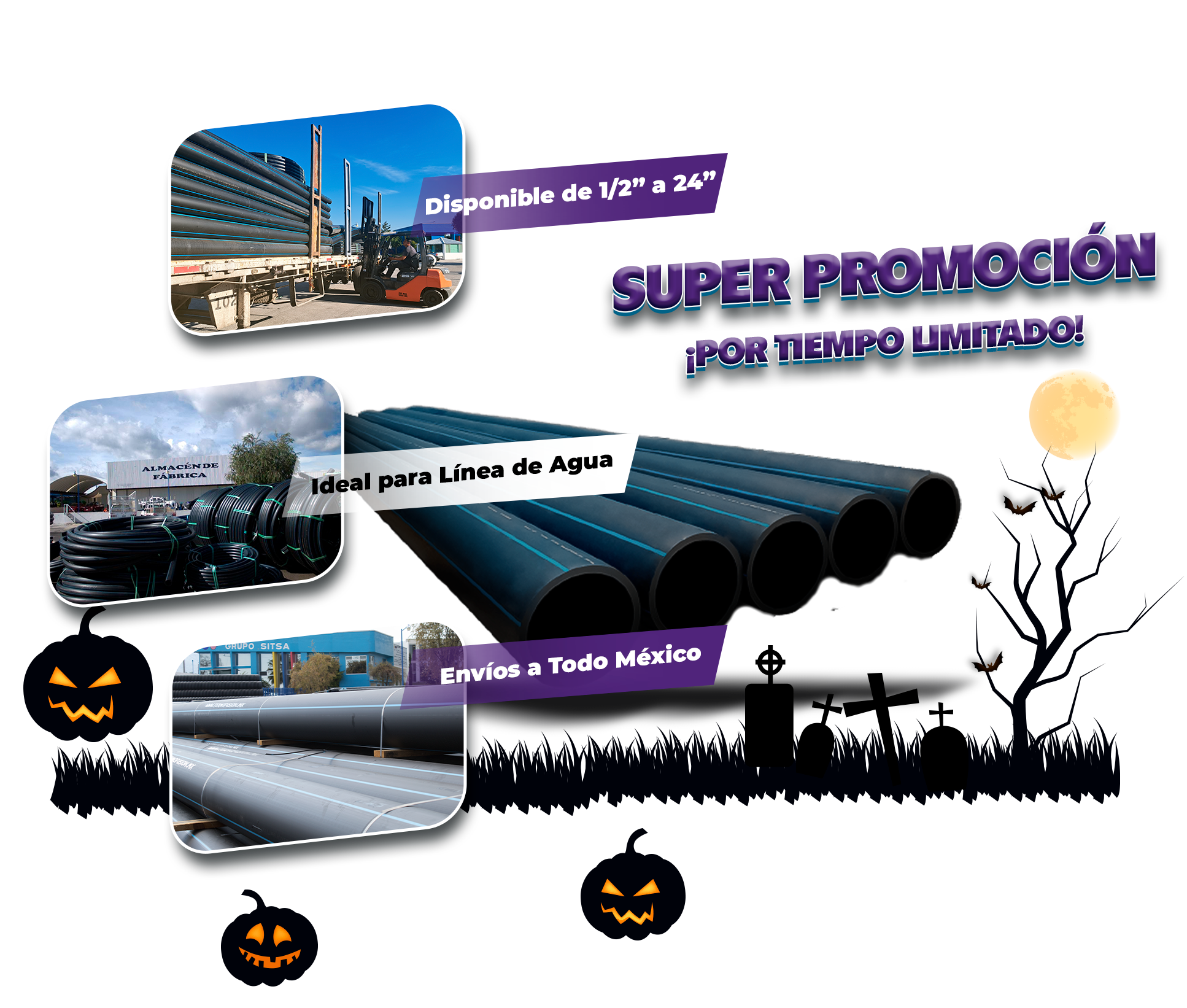 Promocion Noviembre